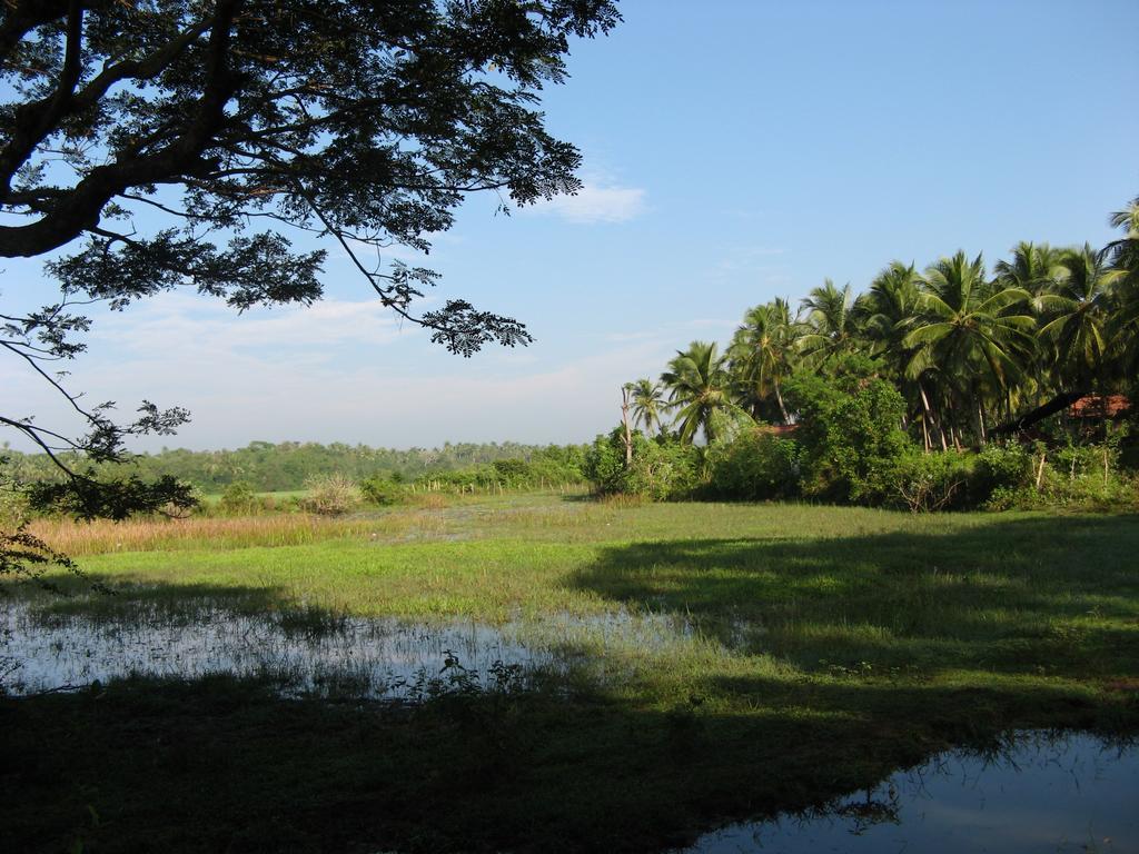 Villa Sunrise Tangalle Exterior foto